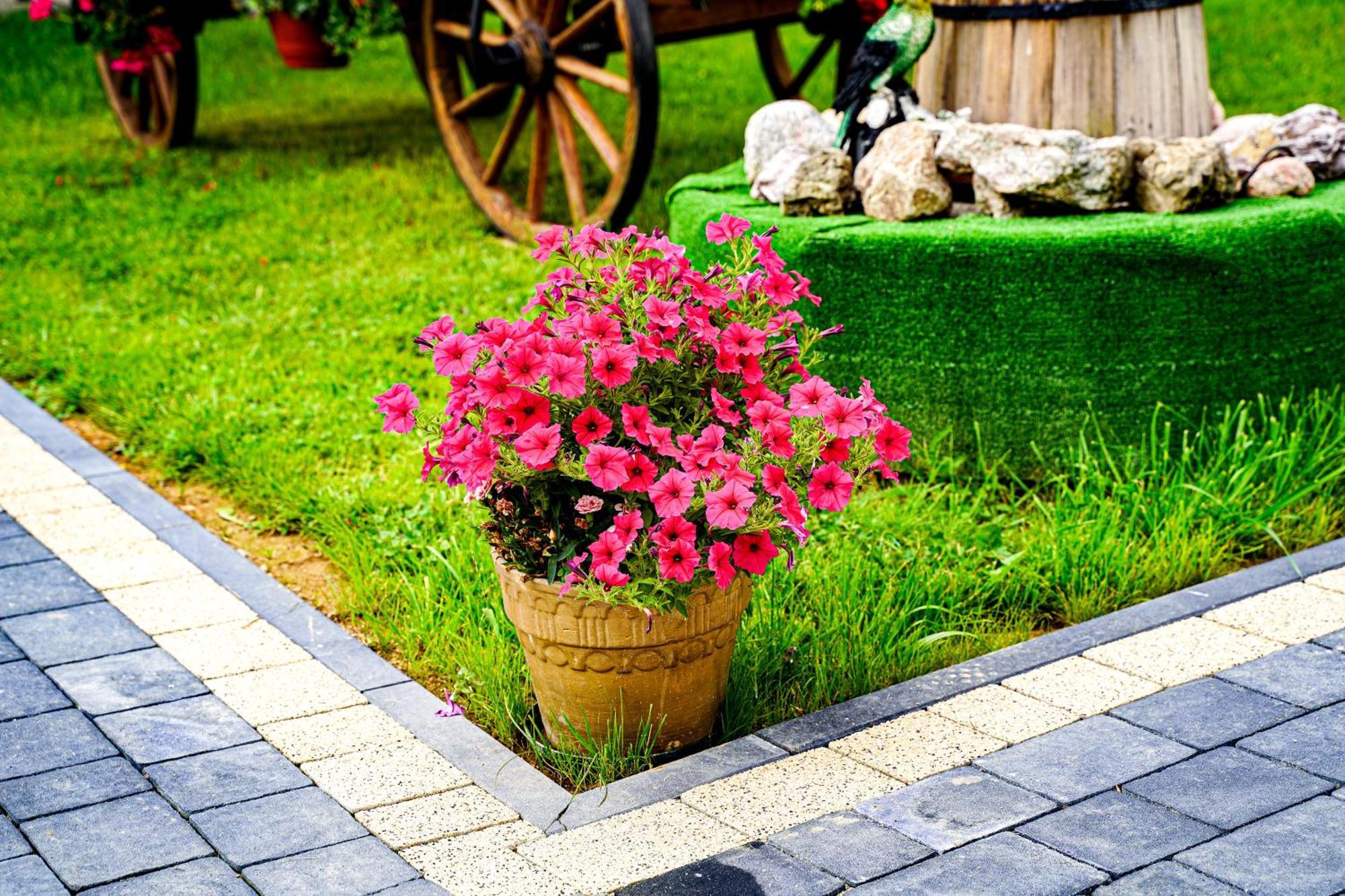 Bed and Breakfast Gosciniec Kukulka Z Jacuzzi Zakopane Exterior foto